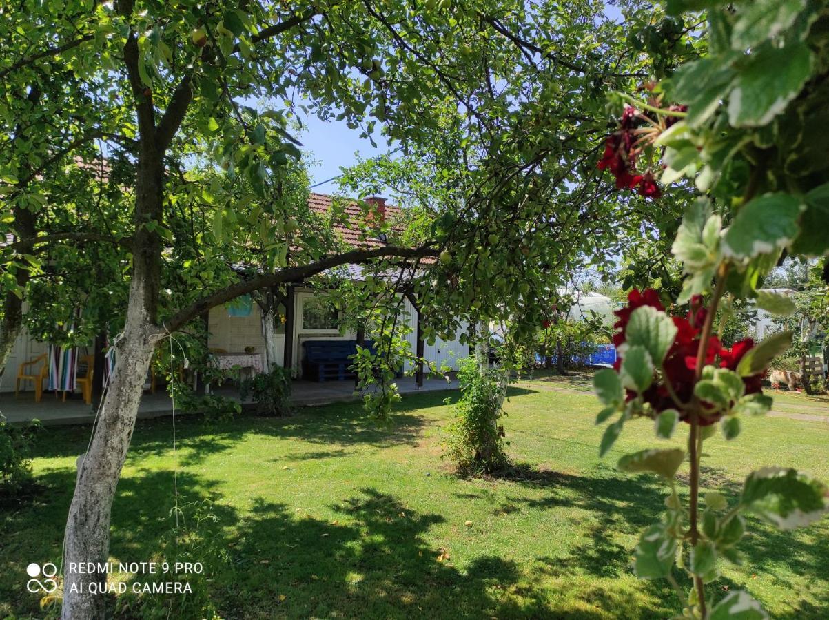 Home Of Nature - Kuca Prirode Odžak Exterior foto