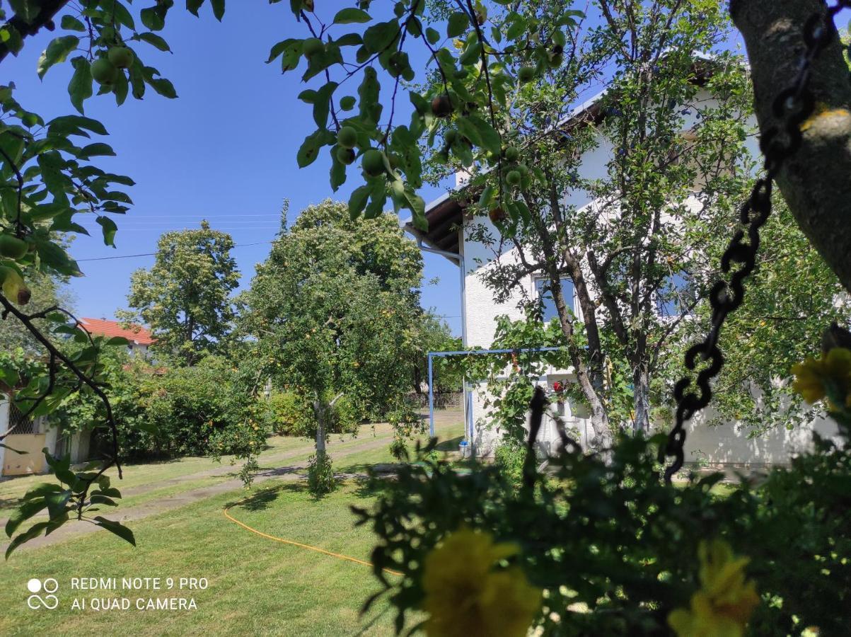 Home Of Nature - Kuca Prirode Odžak Exterior foto